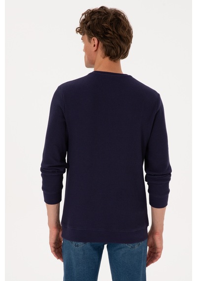 U.S. Polo Assn. Erkek Bisiklet Yaka Regular Fit Petek Dokulu Mürdüm Sweatshirt 50316304-VR074