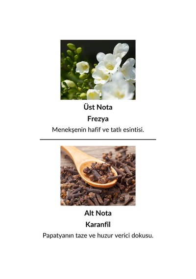 Alescia St-37 Kadın Parfüm EDP 50 ML