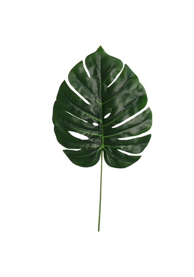 Yapay Deve Tabanı Yaprağı Xl - Monstera Yaprağı