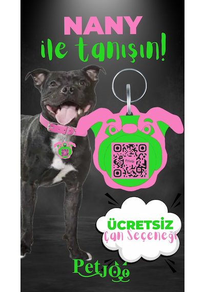 Petjoo 17.Nany Yeşil-Pembe Qr'lı Köpek Künyesi
