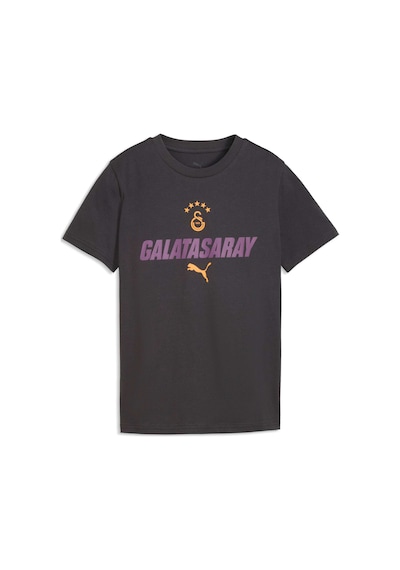 Puma Galatasaray Ftblculture Genç Tişört 786845 19 Gri