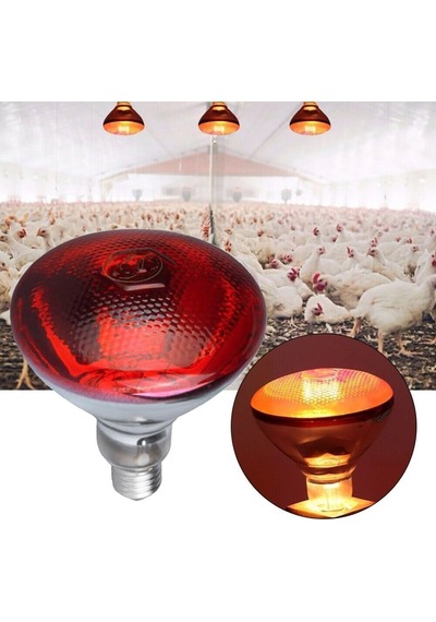 2 Adet/tnyvet E27 Duylu 250 Watt Infrared Isıtıcı Lamba Hayvan Barınakları İçin Etkili Isıtma 250 Watt / 2 Adet