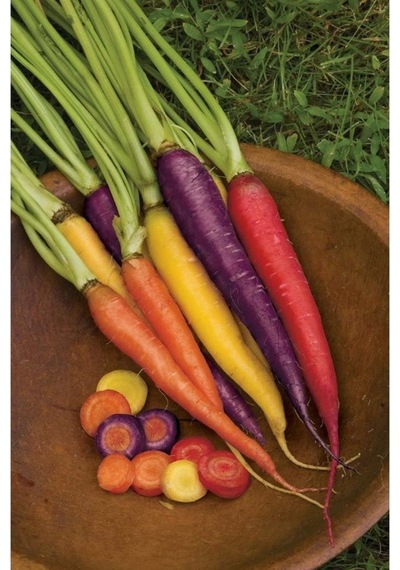 Kırmızı Havuç Tohumu Atomic Red Carrot Atalık