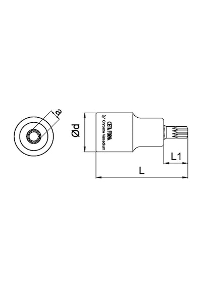 Ceta Form 1/2" Xzn Uçlu Lokma Kısa Tip - M05 X 55 Mm