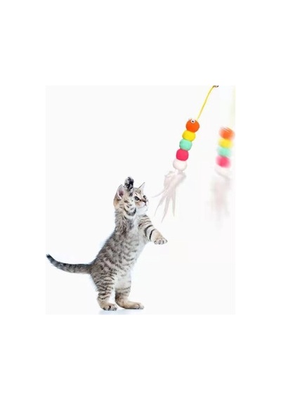 Elastik Kendinden Yapışkanlı Solucan Kedi Oltası Bx40
