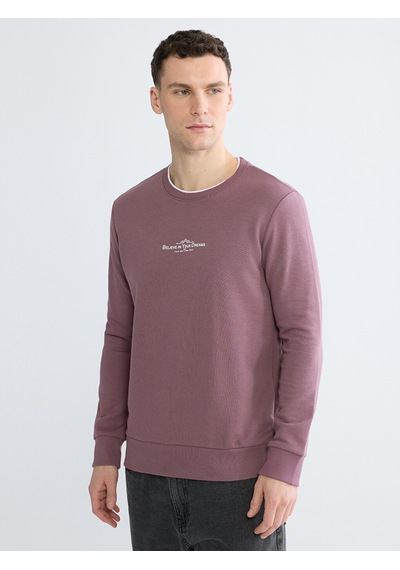 Lcwaıkıkı Classic Mürdüm Regular Fit Bisiklet Yaka Baskılı Erkek Sweatshirt