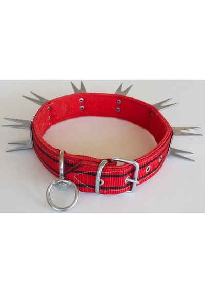 Le-Sar Kolon Çatal U Çivili Tasma 4 CM 70 CM (Ls-804) Çok Renkli