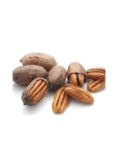 Pikan Cevizi 1 KG