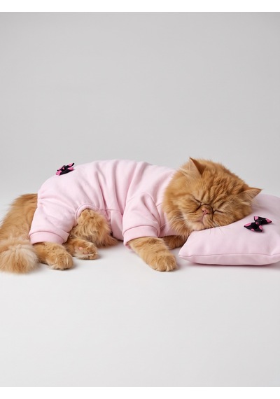 Pinkie Mouse Kedi Uyku Seti Pembe Kalın Penye Kedi Tulumu Ve Kurdele Detaylı Mini Yastık 2 Parça