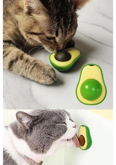 Pawx Catnipli Yenilebilir Kedi Nanesi Otu Oyun Topu Oyuncağı Top Oyuncak Kedi Yalama Topu Avokado Yeşil