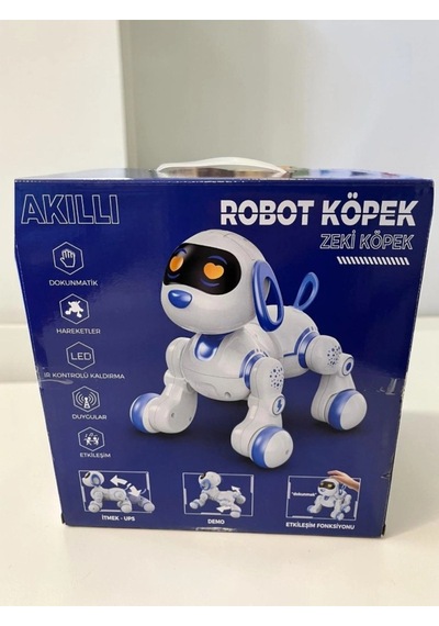 6601 Uzk Kumandalı Dans Edebilen Robot Köpek Çok Renkli