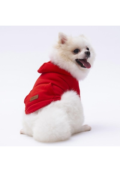 Pettrend Kırmızı Kanguru Cepli Kedi Köpek Hoodie Sweatshirt