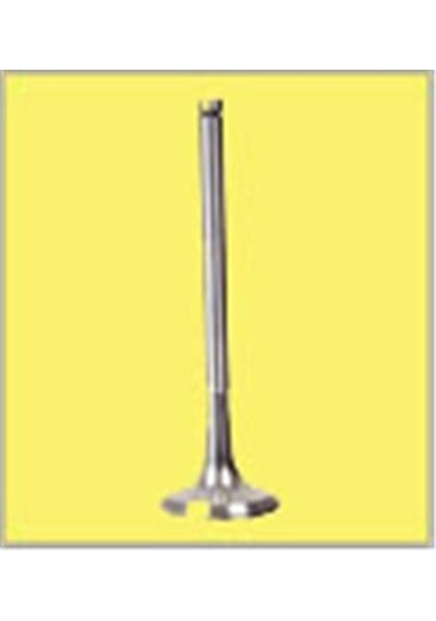 GÜNEŞ 4492-4493 GÜNEŞ SUBAP TAKIMI C3 1.4 16V  16V