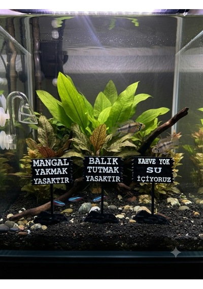 Akvaryum Tabelası 3'lü Takım Siyah