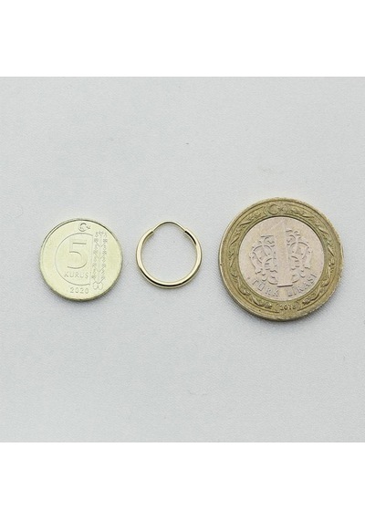 Altın Minik Halka Küpe Çap: 1.5cm Pembe Altın