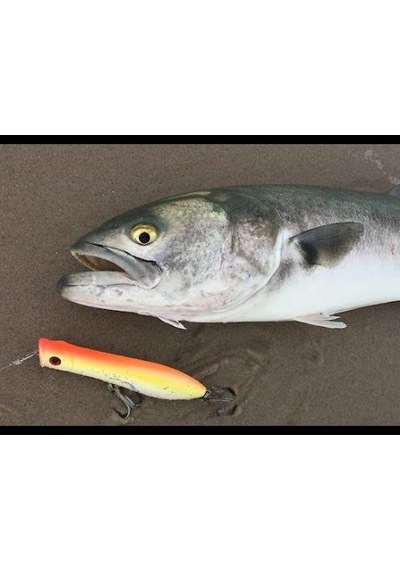 Profısher Lüfer Kofana Avcısı Zoka Sert Yapay Yem 11,5 Gr 8 Cm Renk: F
