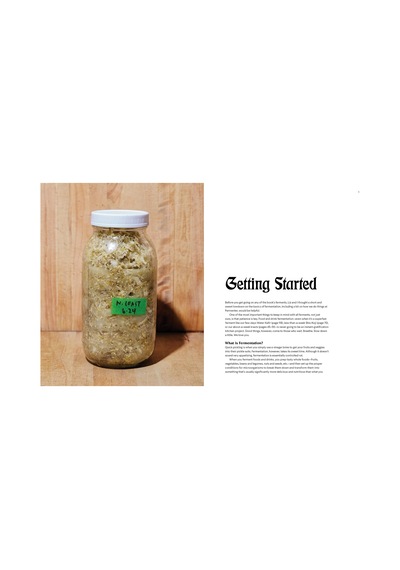 Fermenter: Dıy Fermentation For Vegan Fare, Including Recipes For Krauts, Pickles, Koji, Tempeh, Nut- & Seed-based Cheeses, Fermented Beverages & What To Do With Them