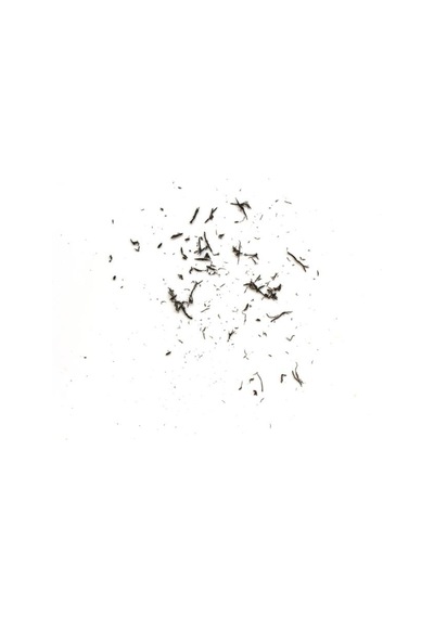 Tombow Mono Zero Basmalı Kalem Silgi 2.3 Mm - Siyah
