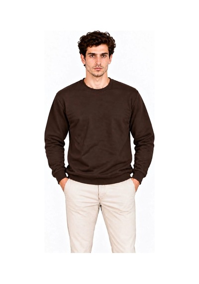 Erkek 2'li Bisiklet Yaka İçi Şardonlu 2 İplik Düz Uzun Kollu Regular Fit Sweatshirt -bordo & Kahverengi Çok Renkli