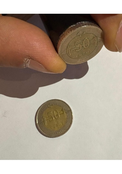 Proride Bisiklet Taşıyıcı Yedek Parça Tutma Aparatı