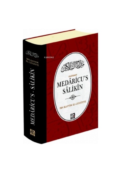 Medâricu's Sâlikînmuhtasar