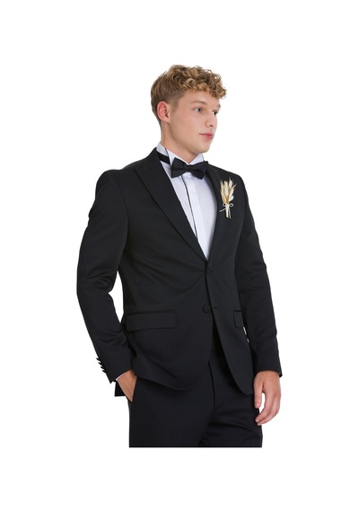 Hatemoğlu Siyah Slim Fit Çıkma Sivri Yaka Klasik Damatlık 34558 Siyah