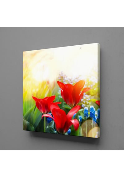 Kırmızı Çiçekler Kanvas Tablo 90x90cm Çok Renkli
