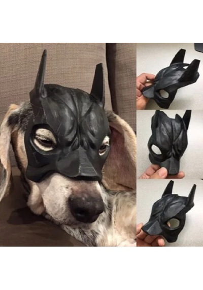 Köpekler İçin Batman Maskesi