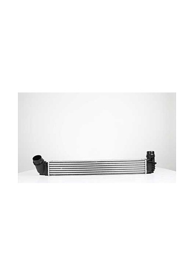 Bsg Turbo Radyatoru Intercooler 655 X 91 X 80 - Megan Iıı / Scenıc Iıı 09-