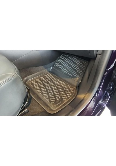 Renault Zoe 3D Paspas. Zoe 3D Havuzlu Paspas. 2012-