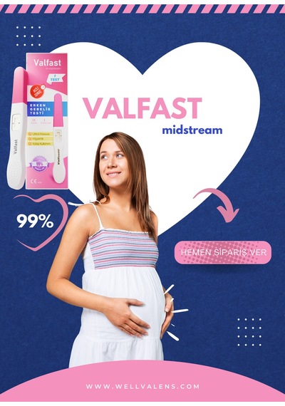 Erken Gebelik Testi Hızlı Hamilelik Testi 2 Adet Gizli Gönderim