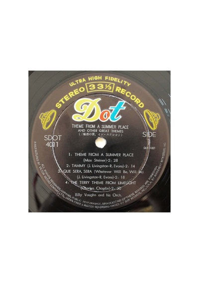 Billy Vaughn And His Orchestra Theme From A Summer Place 10'' Plak