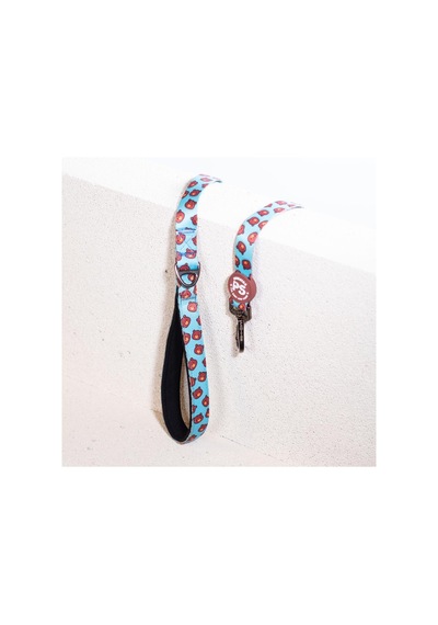 Pawstar Bears Leash Kedi Köpek Sevk & Gezdirme Kayışı Köpek Uzatma Tasması Turkuaz