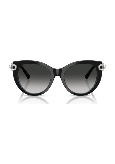 Tf 4232 80553c 53 Tiffany & Co. Güneş Gözlüğü Siyah