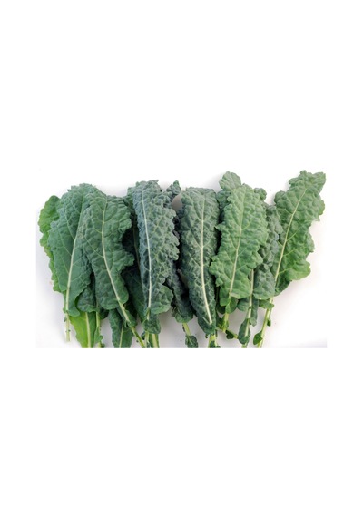 70+ Kale Sebzesi Tohumu Kara Lahana