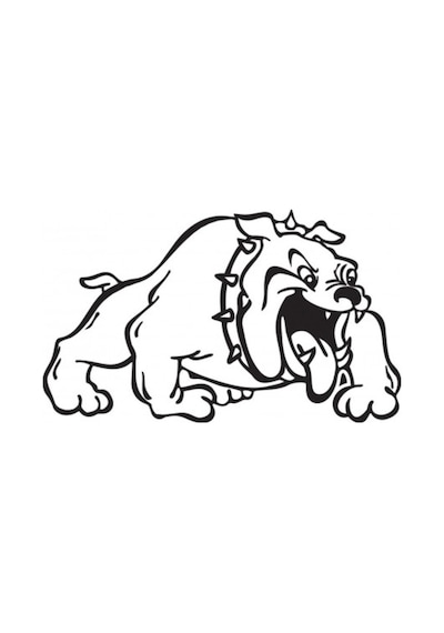 Bulldog Köpek Araba Sticker Yapıştırma 30Cm