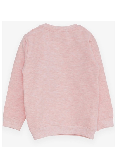 Breeze Kız Çocuk Sweatshirt Ayıcık Aksesuarlı 1.5-5 Yaş, Somon Melanj-somon Melanj Somon Melanj Breeze Kız Çocuk Sweatshirt Ayıcık Aksesuarlı 1.5-5 Yaş, Somon Melanj-somon Melanj Somon Melanj