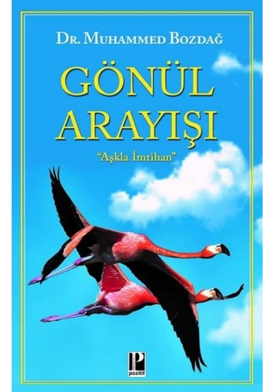 Gönül Arayışı - Muhammed Bozdağ - Pozitif Yayıncılık