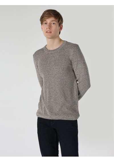 Colin's Slim Fit Kahverengi Erkek Triko Kazak CL1061674_Q1.V1_BRW