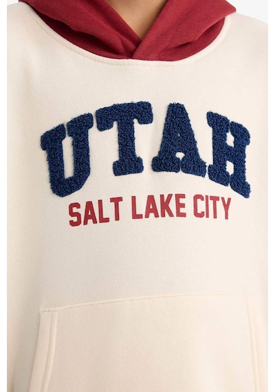 Defacto Erkek Çocuk Oversize Geniş Kalıp Kapüşonlu Baskılı İçi Yumuşak Tüylü Sweatshirt G5561a825cwer233 Ekru-er233