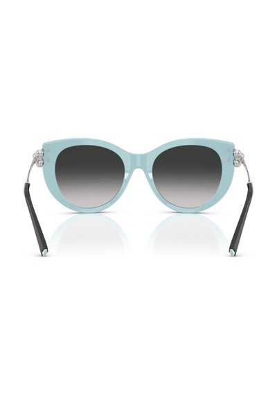 Tf 4232 80553c 53 Tiffany & Co. Güneş Gözlüğü Siyah