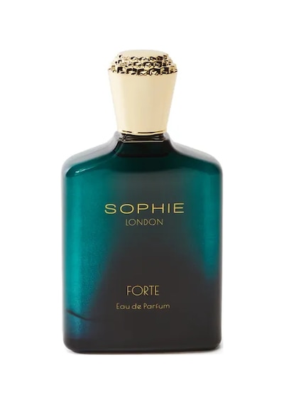 Sophie London Forte Erkek Parfüm EDP 100 ML
