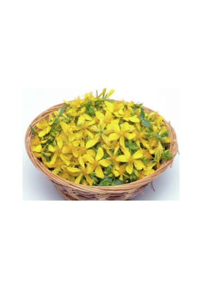 Nadir Sarı Kantaron Tohumu Ekim Seti