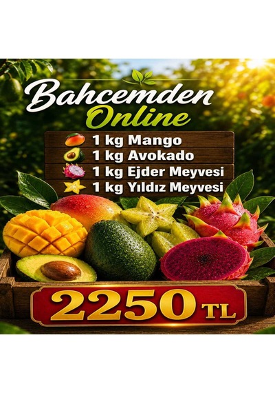 Tropikal Meyve Paketi