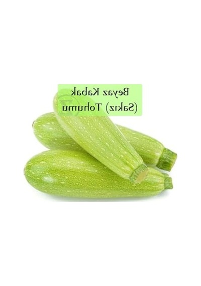 Sakız Kabak Tohumu, 10 Gr Paket, Verimli Yetiştirme İçin
