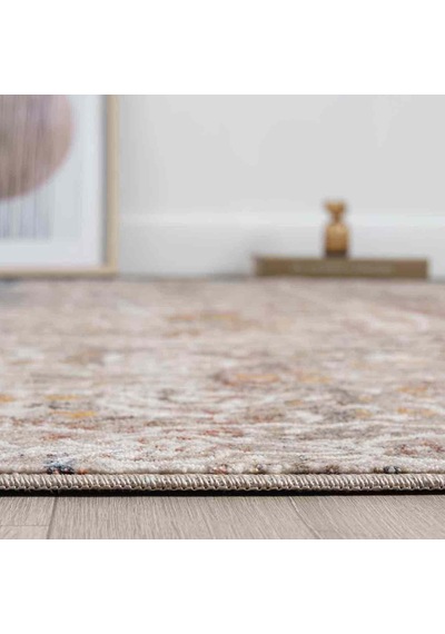 Bej Çok Renkli Klasik Eskitme Desenli Halı - Ns0250ba