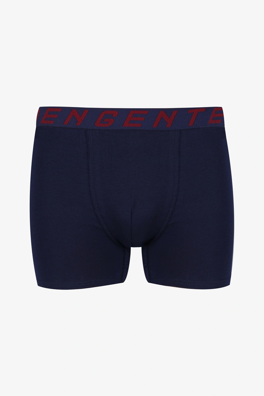 Koza İç Giyim Erkek 2'li Pamuklu Likralı Boxer Ko9003bx.02 Lacivert