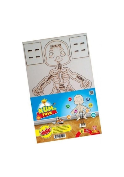 Kum Toys İskelet Maketi