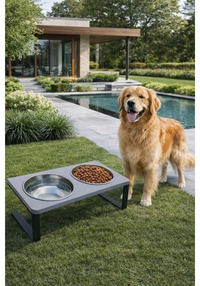 Reyo Ok-ay Store Radessa Xl Yüksek Standlı Çift Hazneli Mama Ve Su Kabı, Büyük Ve Orta Boy Köpek Ve Kedi Su Kabı Paslanmaz Çelik Gri