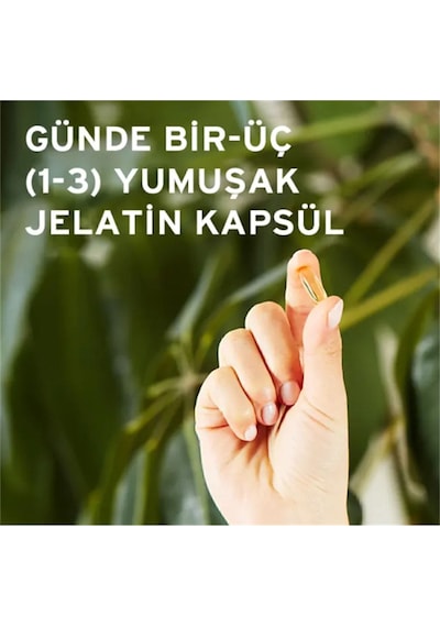 Evenıng Prımrose Oıl 500mg 60 Softgels
